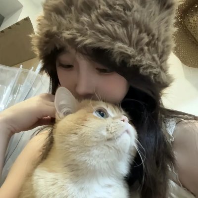 凡妮莎海辛第五季
